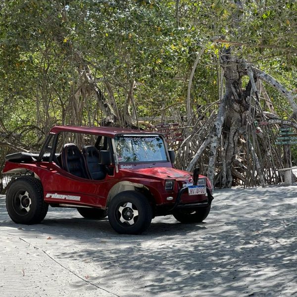 IMG-20240905-WA0045