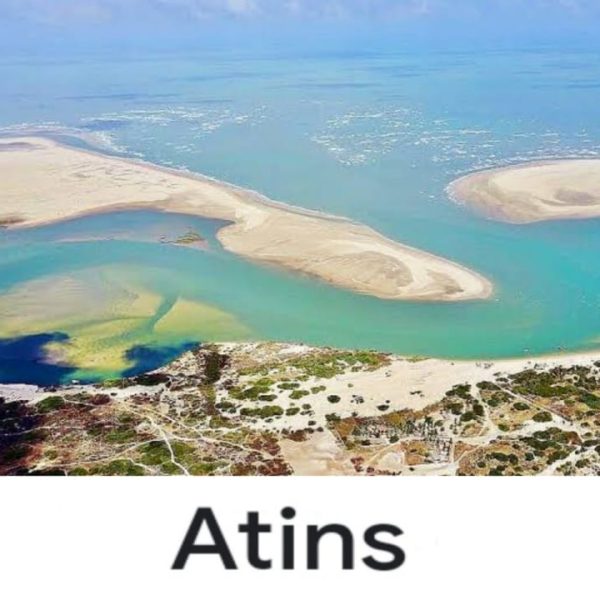 IMG-20250224-WA0040